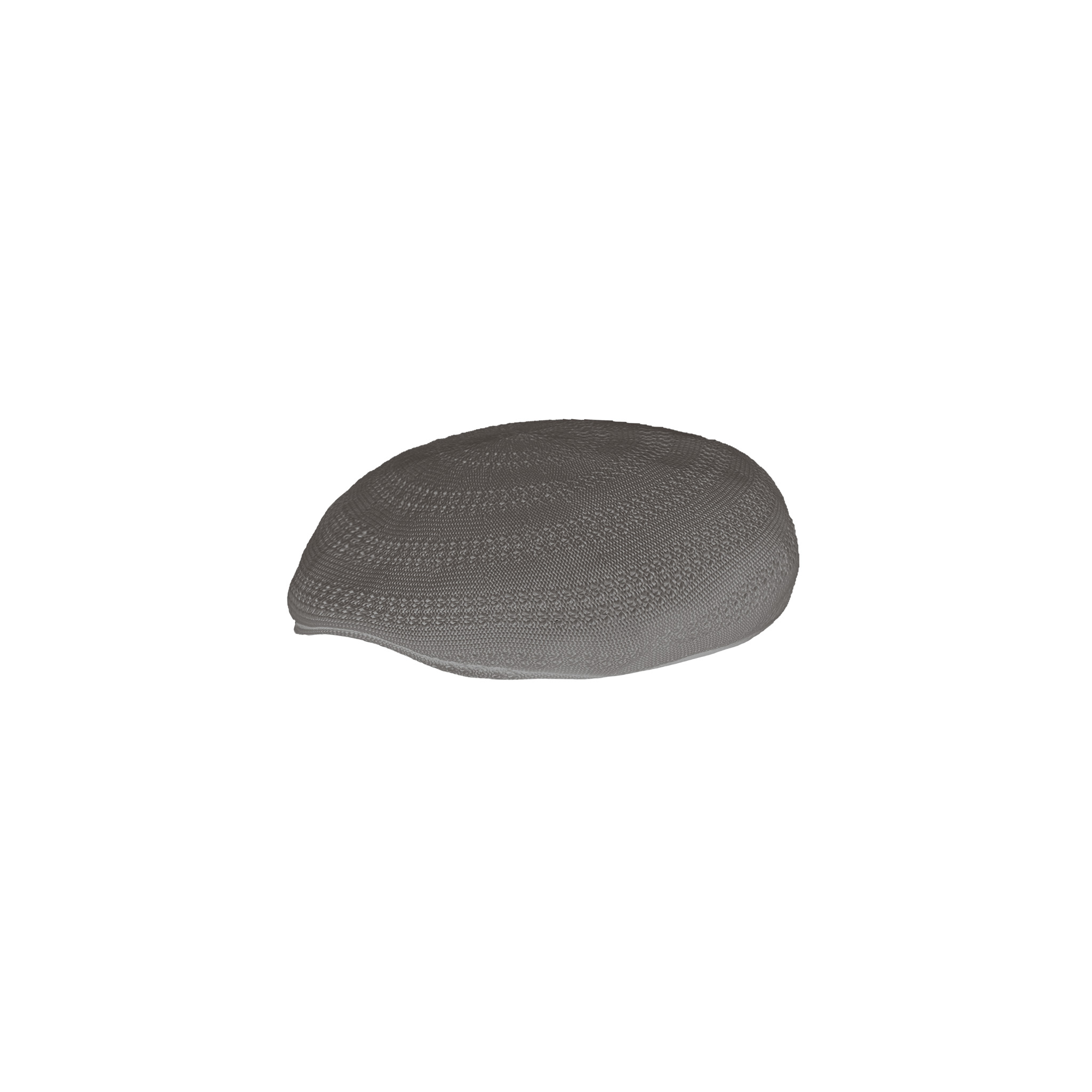 DRESS HIPPY/THERMO CASQUETTE (GRAY)